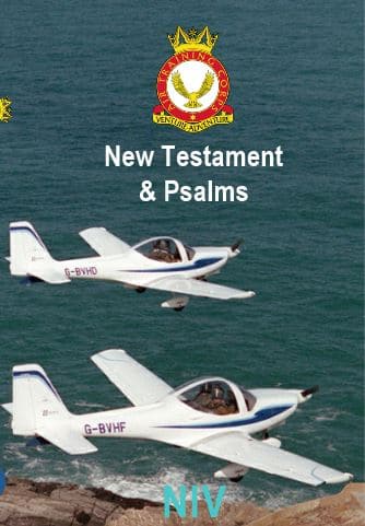 Two white and blue small aeroplanes fly over the ocean near a rocky coastline. The cover features a crest at the top and the text “New Testament & Psalms” and “NIV” in white letters.