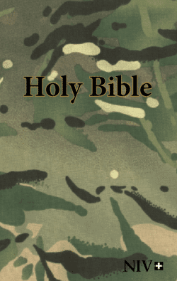 Hardback Bible NIV - Badgeless Edition